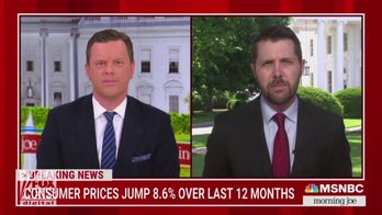 MSNBC's Geist rebukes Biden econ policy: 'I promise you' Americans aren't blaming Putin