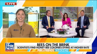 Melania Trump adds new beehive to White House honey program