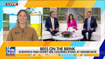 Melania Trump adds new beehive to White House honey program