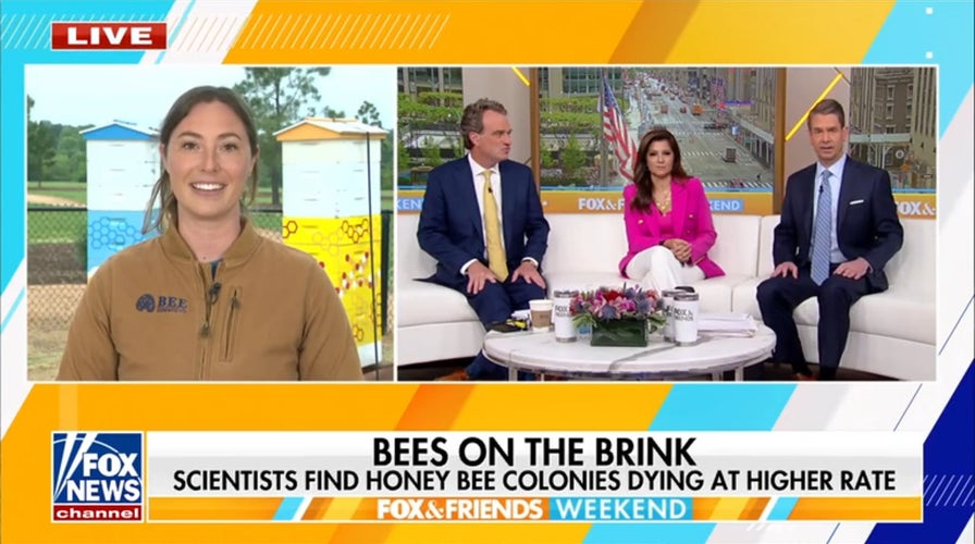 Melania Trump adds new beehive to White House honey program