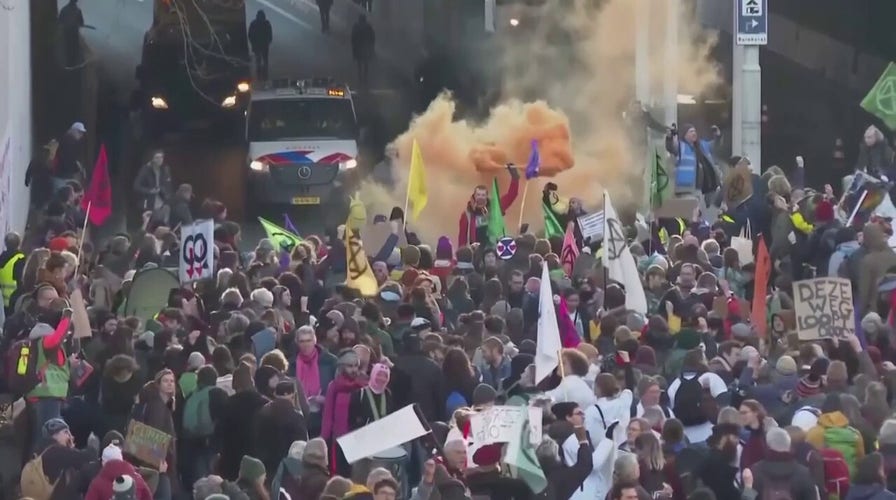 Climate change protesters in The Hague block highway, get detained