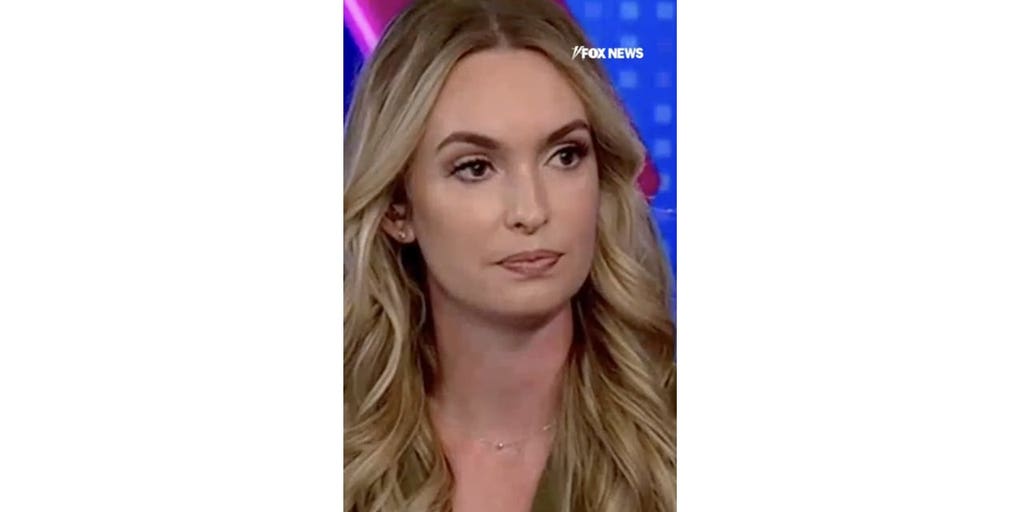Kaylee McGhee White: Voting for Democrats is voting for a ‘progressive grievance hamster wheel’