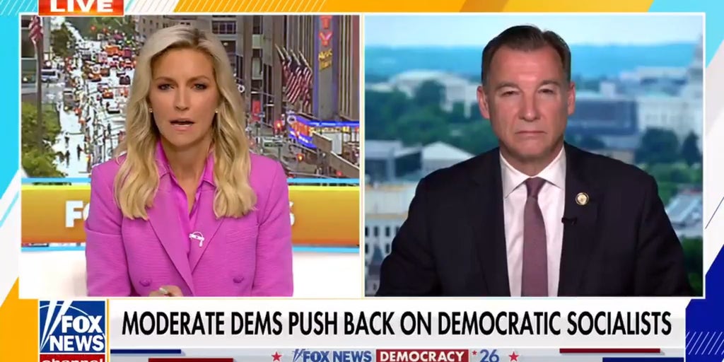 Moderate Democrats react to socialist push within the party