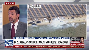Attacks on ICE agents up 830% since 2024, DHS reports