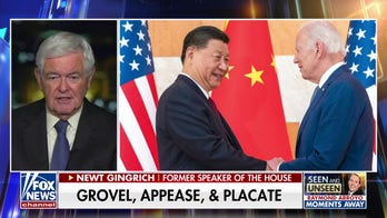 Newt Gingrich: Left-wingers have a lot in common with Chinese Communists