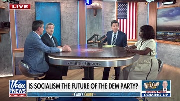 Democratic socialists won't get party to 'where we want to be': Democratic strategist