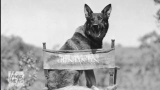 U.S. Army’s WWII K-9 Corps was born on this day in history, March 13, 1942 - Fox News