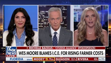 Maryland Gov Wes Moore blames ICE for rising farmer costs