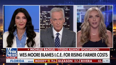 Maryland Gov Wes Moore blames ICE for rising farmer costs