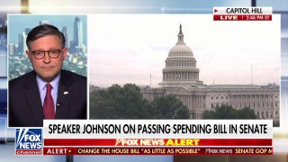 Mike Johnson touts ‘one-team approach’ as House and Senate Republicans work on spending bill