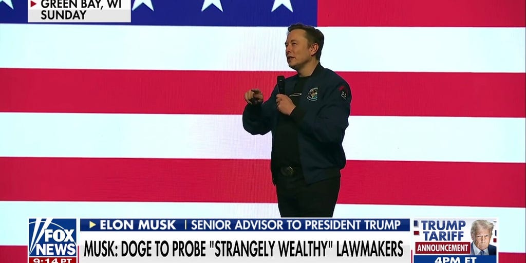 Elon Musk says DOGE will investigate 'strangely wealthy' lawmakers: 'Nobody can explain that'