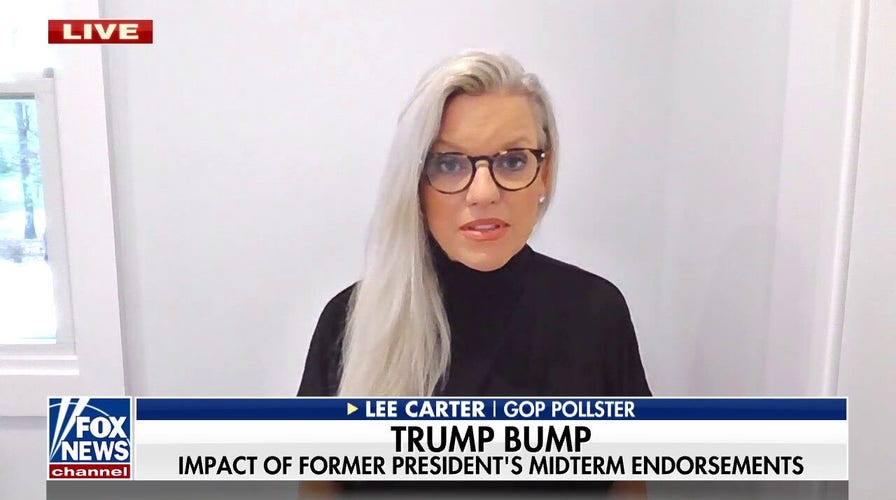 GOP pollster: 'Trump does give a significant bump to candidates'