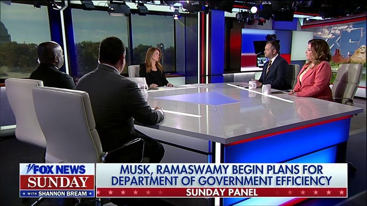 ‘Fox News Sunday’ panel breaks down Pam Bondi's AG nomination, DOGE plans from Musk and Ramaswamy