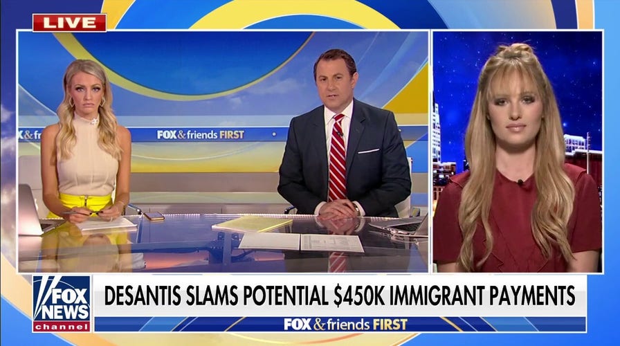 Tomi Lahren sounds off on MSNBC host who criticized NYPD vaccine protests