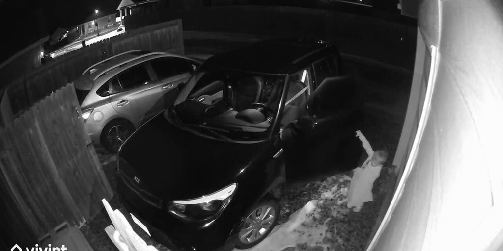 Toddler hero saves great-grandmother after fall