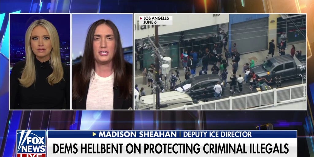 Democrats won't allow law enforcement officers to 'do their jobs,' ICE official laments