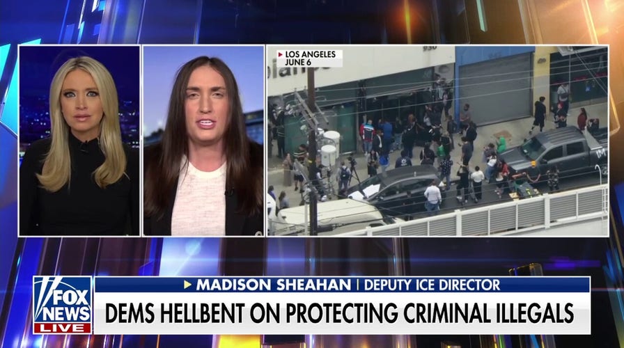 Democrats won't allow law enforcement officers to 'do their jobs,' ICE official laments