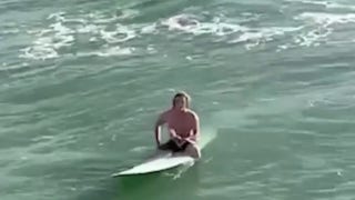 Mystery surfer caught on camera rescuing struggling sea bird - Fox News