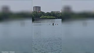 Small plane crashes into lake in downtown Austin - Fox News