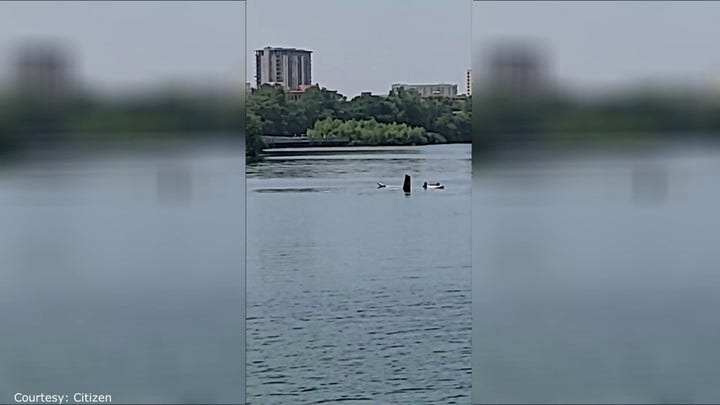 Small plane crashes into lake in downtown Austin