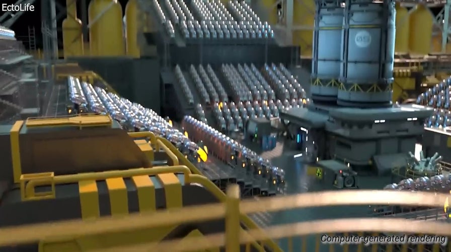 CyberGuy addresses 'artificial womb' video