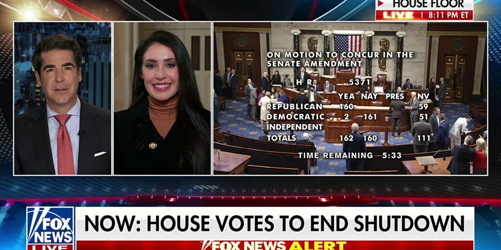 Dems lost the national messaging on all fronts tonight: Rep. Anna Paulina Luna