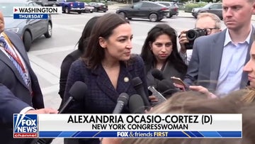 Democrats react to DNC 2024 election report