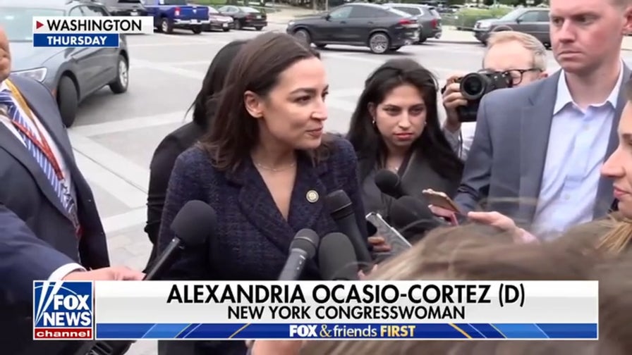 Democrats react to DNC 2024 election report