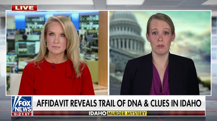 Affidavit in Idaho murder case reveals key clues, DNA evidence