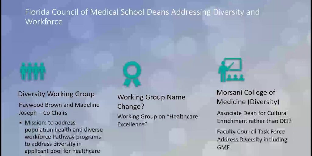 Unearthed audio shows Florida university doctor boasting about skirting anti-DEI laws