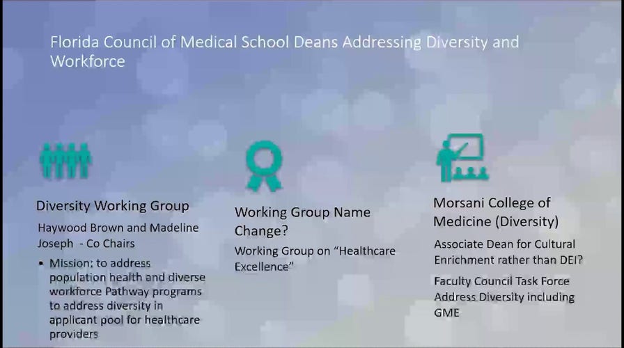 Unearthed audio shows Florida university doctor boasting about skirting anti-DEI laws