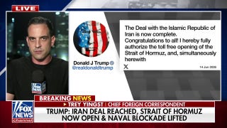 JUST IN: Trump announces Iran deal opens Strait of Hormuz, lifts naval blockade