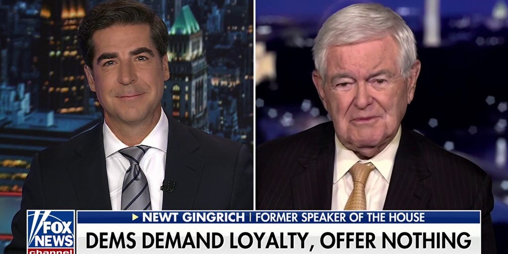 Dems are 'so out of touch' with the American people, says Newt Gingrich