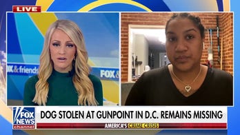 DC woman says her dog was stolen at gunpoint: 'No one is being held accountable' amid crime surge