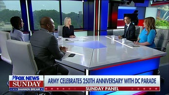 There is a ‘hunger for Americans to come together’ after DC military parade: Army veteran