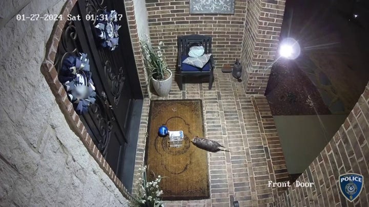 Opossum 'porch pirate' steals 15-year-old's birthday cookies