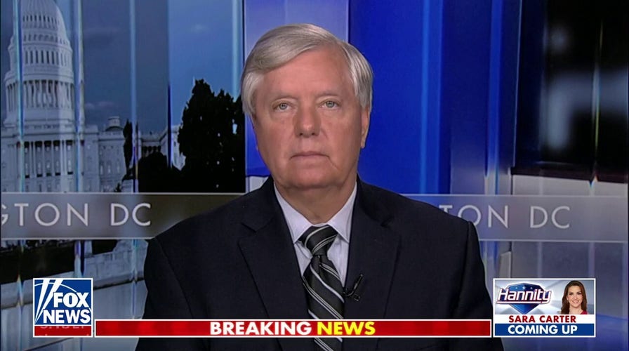 The left will do ANYTHING to ruin Trump’s life: Sen. Lindsey Graham