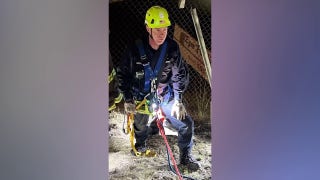 San Francisco pup's life saved by first responders after falling off cliff - Fox News