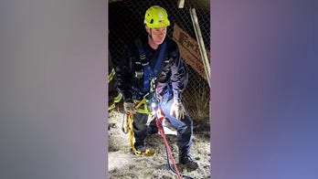 San Francisco pup's life saved by first responders after falling off cliff