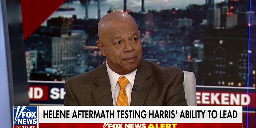 David Webb: It's not 'incompetence,' it's 'not caring' about Americans