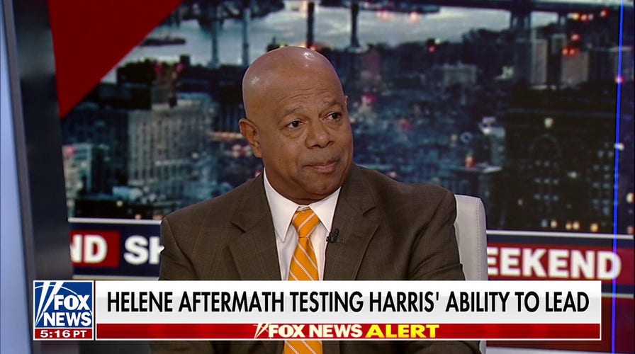 David Webb: It's not 'incompetence,' it's 'not caring' about Americans