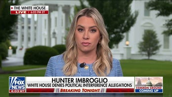 White House defends Joe Biden's denials of knowledge of Hunter's business dealings