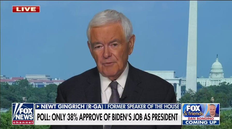 Newt Gingrich blasts Kamala Harris: She's an 'absurdity'