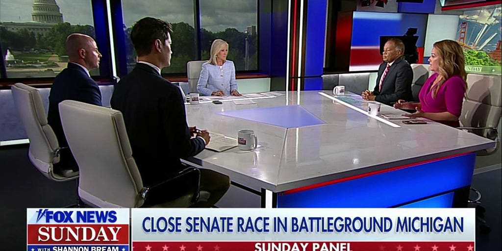 El-Sayed is not a 'great candidate' for Michigan: Mollie Hemingway