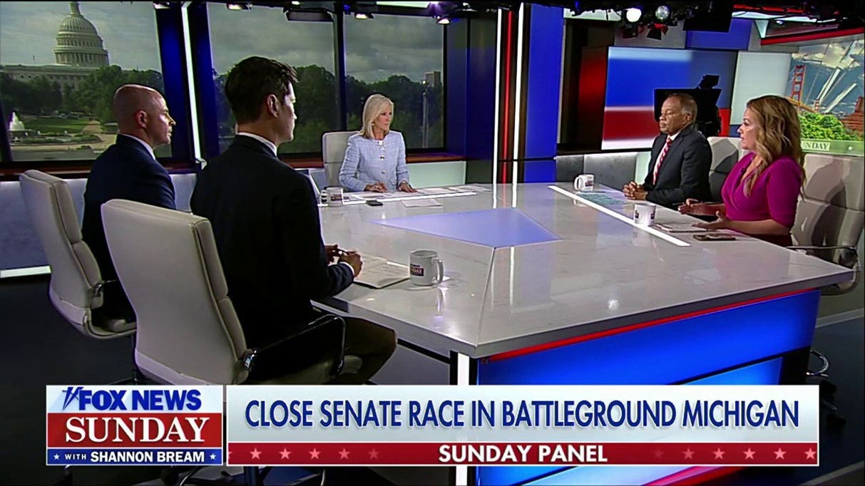 El-Sayed is not a 'great candidate' for Michigan: Mollie Hemingway