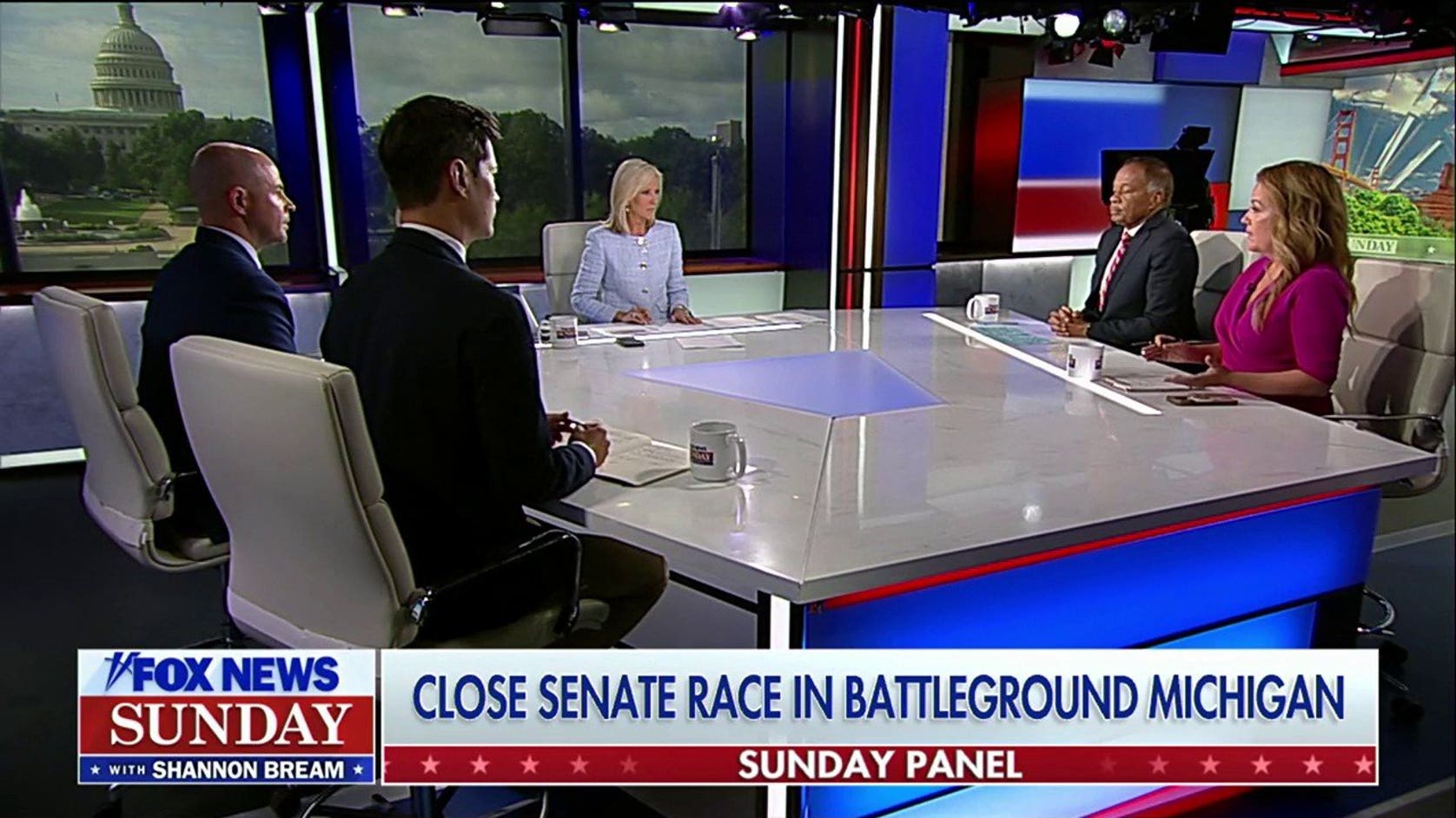 El-Sayed is not a 'great candidate' for Michigan: Mollie Hemingway