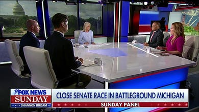 El-Sayed is not a 'great candidate' for Michigan: Mollie Hemingway