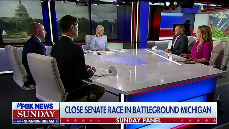 El-Sayed is not a 'great candidate' for Michigan: Mollie Hemingway