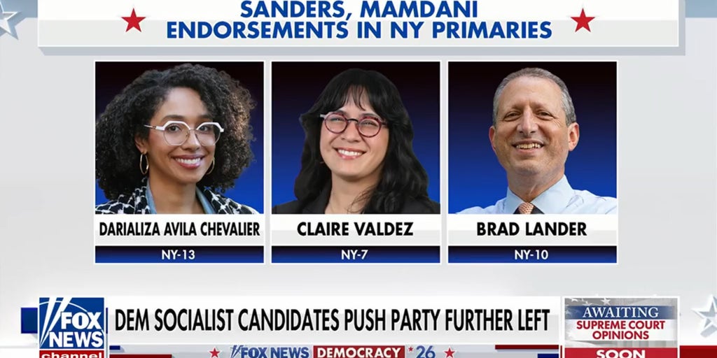Democratic socialists push party further left