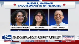 Democratic socialists push party further left